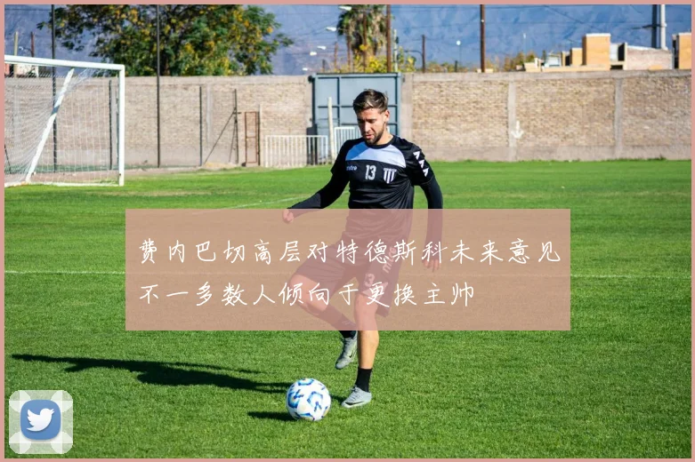 费内巴切高层对特德斯科未来意见不一多数人倾向于更换主帅