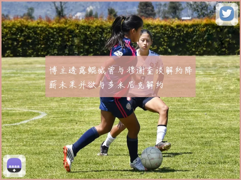 博主透露鲲城曾与穆谢奎谈解约降薪未果并欲与多米尼克解约